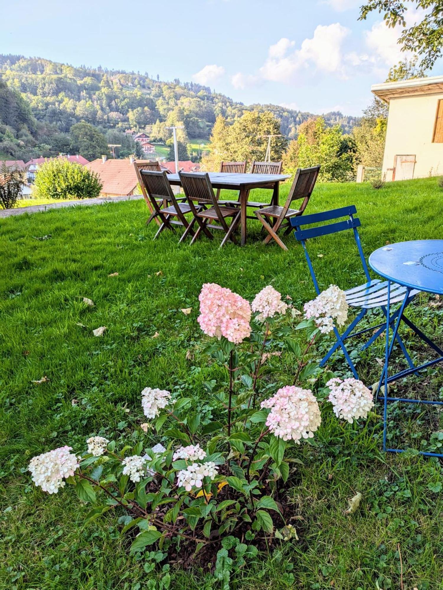 Villa Le Renard Des Vosges à La Croix-aux-Mines Extérieur photo